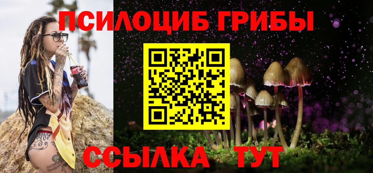 Галлюциногенные грибы Psilocybine cubensis  Вход с VPN  Псилоцибиновые грибы Magic Shrooms  Конаково 